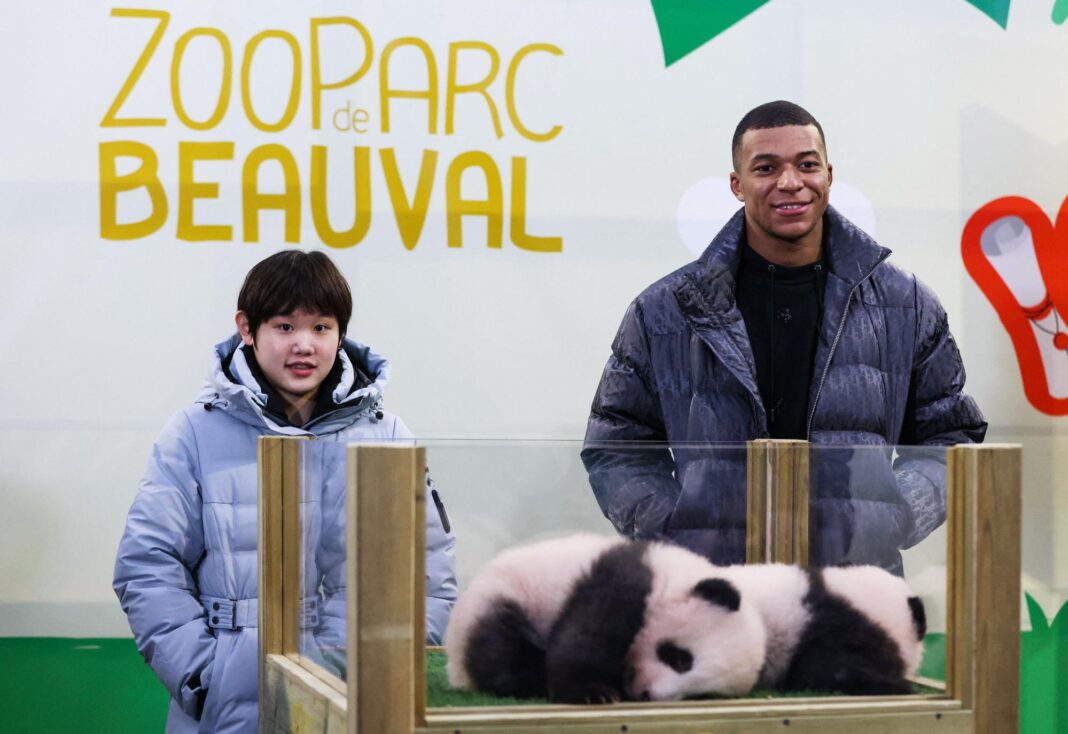 Kylian Mbappé (Real Madrid) : Quels nouveaux secteurs d’investissement après la voile ?